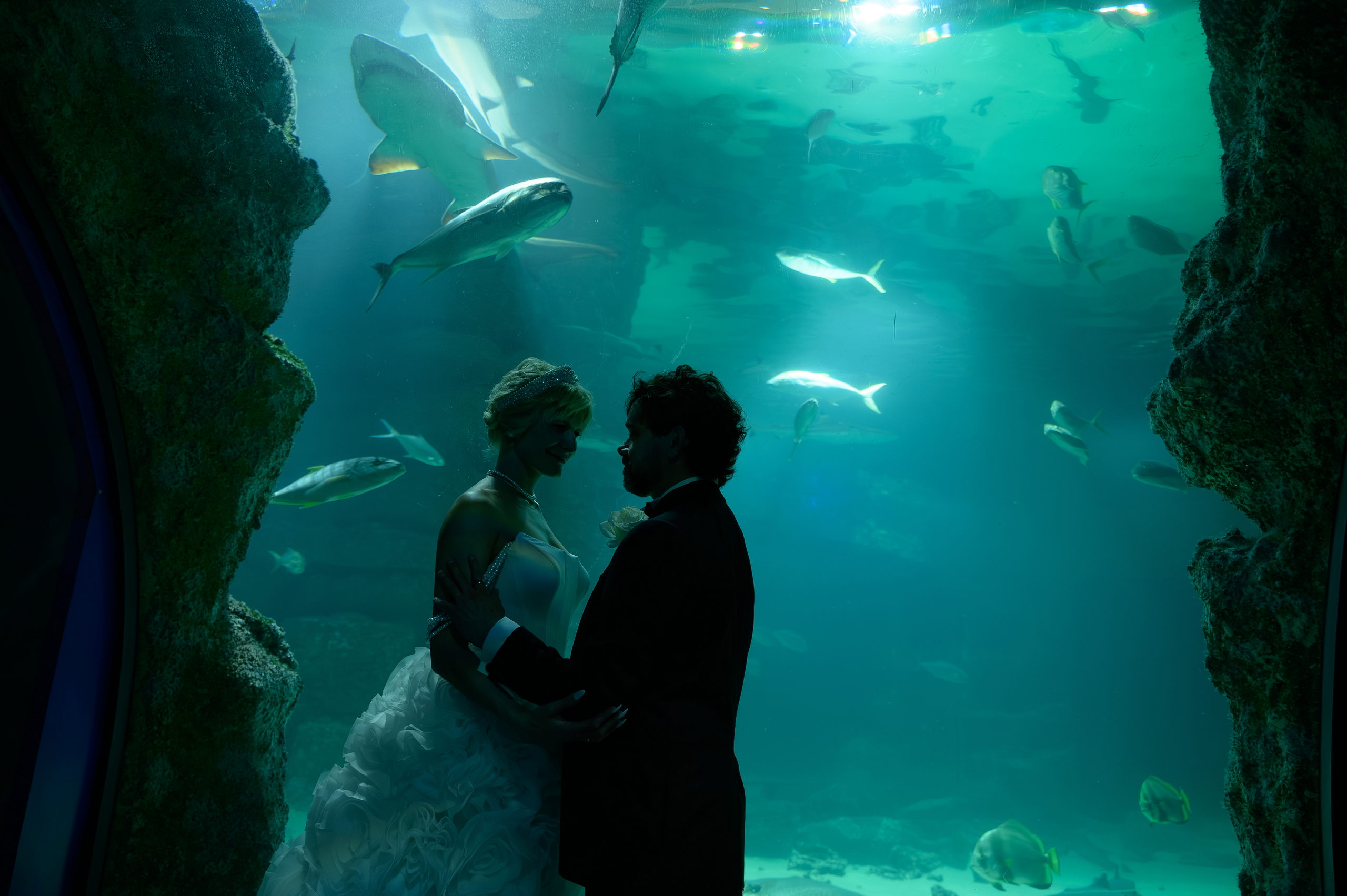 В ритме моря