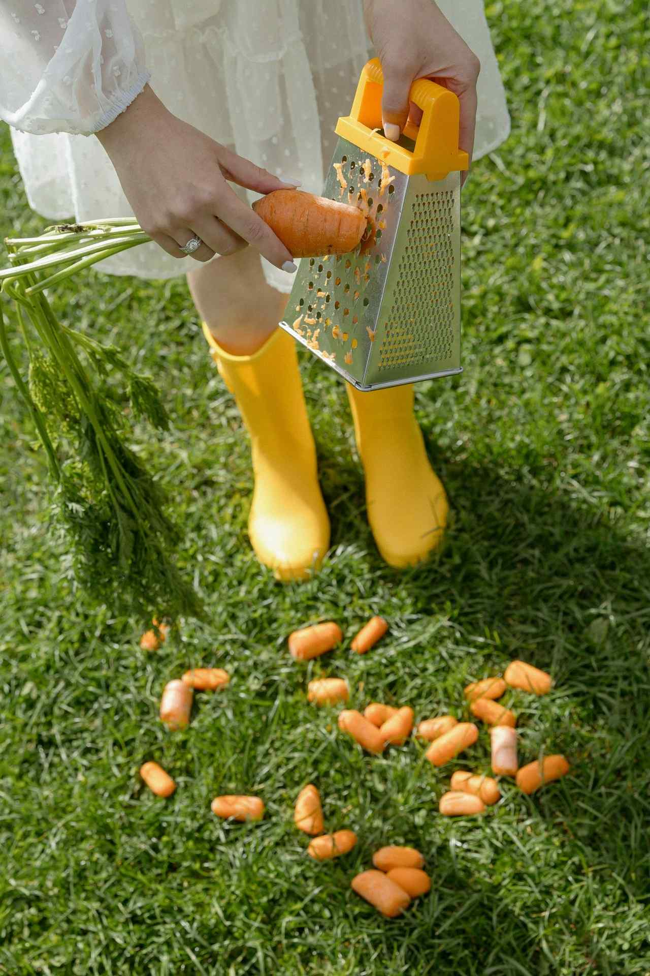 Работа РАНЧО "RANCHO"